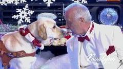 Поле чудес. Выпуск от 29.12.2017