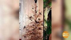 Пора выбрасывать елку! Доброе утро. Фрагмент от 15.01.2018