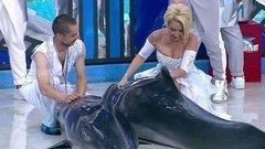 Лера Кудрявцева. Выступление. Вместе с дельфинами. Фрагмент выпуска от 03.10.2015