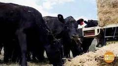 В мире. Последствия засухи. Доброе утро. Фрагмент выпуска от 02.03.2018