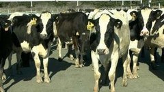 В мире. Проблемы фермеров. Доброе утро. Фрагмент выпуска от 05.10.2015