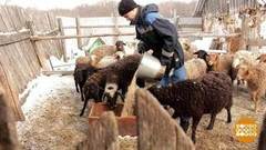 Такой маленький, и уже бизнесмен! Доброе утро. Фрагмент выпуска от 18.03.2018