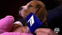 Ми-ми-ми. Вечерний Ургант. Фрагмент выпуска от 21.03.2018