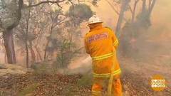 В мире. Лесные пожары. Доброе утро. Фрагмент выпуска от 25.05.2018