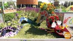 Целое море цветов. Доброе утро. Фрагмент выпуска от 29.06.2018