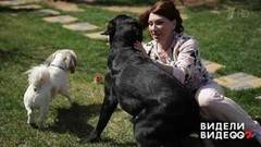 Один дома: питомцы Розы Сябитовой. Видели видео? Фрагмент выпуска от 24.07.2018