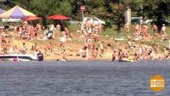 И в море есть вирусы! Доброе утро. Фрагмент выпуска от 15.08.2018