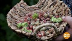 Будет всем на орехи! Доброе утро. Фрагмент выпуска от 29.08.2018