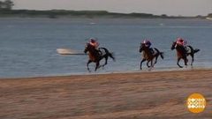 В мире. Скачки лошадей. Доброе утро. Фрагмент выпуска от 07.09.2018