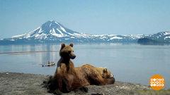 Где бобры зимуют? Доброе утро. Фрагмент выпуска от 25.09.2018