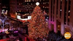 В мире. Рождественская ель. Доброе утро. Фрагмент выпуска от 13.12.2018