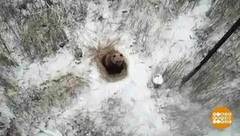 Мишки, подъем! Доброе утро. Фрагмент выпуска от 26.03.2019