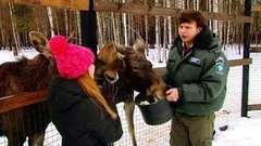 Тяжелый месяц…