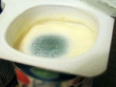 «Среда обитания. Бедный йогурт». Документальный фильм