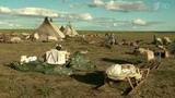 В Ямало-Ненецком автономном округе вокруг очага локальной вспышки сибирской язвы создают «пояс безопасности»