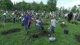 На стадионе «Лужники» высадили вишневые деревья и вручили премию им.Олега Янковского