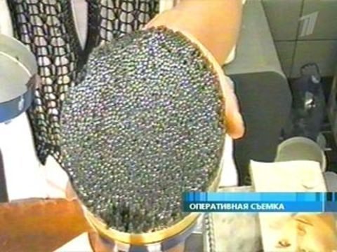 Как выглядит черная икра натуральная браконьерская