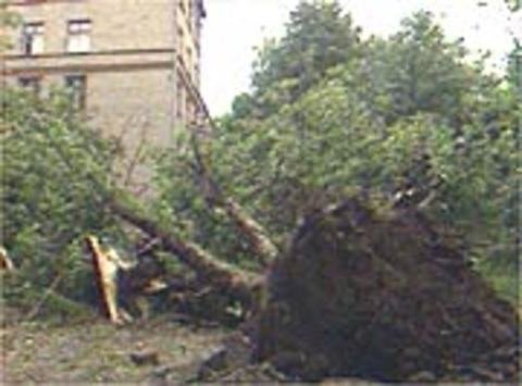 1 июля 2001. Ураган в Москве 2001. Ураган в Москве 2001 24 июля. Ураган 24 июля 2001. Ураган Бутово 2001.
