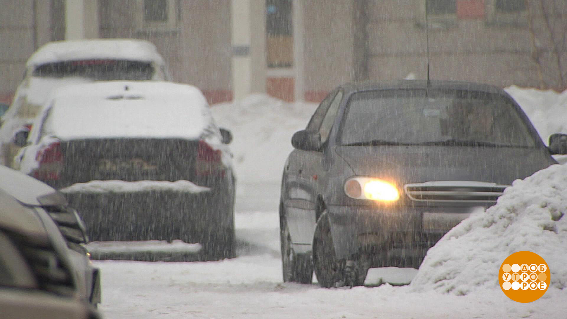 Такого снегопада давно не помнят. Что такое снега Гедон.