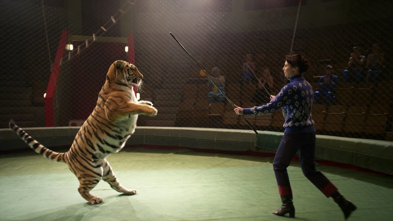 Тигр стоит на задних лапах во время трюка. Кадр из сериала «Маргарита Назарова»