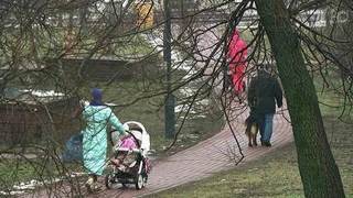До конца недели в центральных районах России будут держаться плюсовые температуры