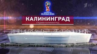 Стадионы Чемпионата мира по футболу FIFA 2018 в России™: Калининград