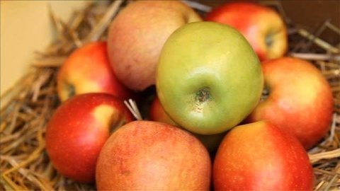 «Среда обитания. Нитраты». Документальный фильм