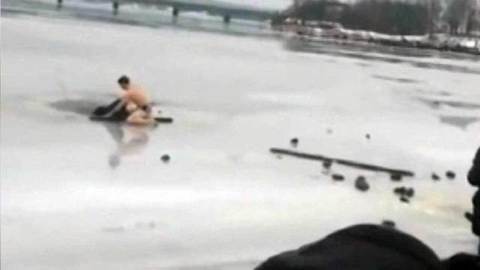 В Карелии мужчина бросился на помощь собаке, провалившейся в полынью. Хиты интернета