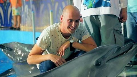 Антон Привольнов. Профайл. Вместе с дельфинами. Фрагмент выпуска от 03.10.2015