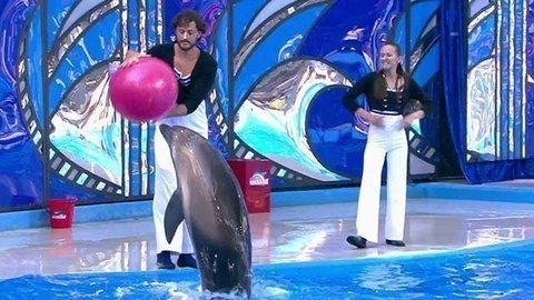 Максим Маринин. Выступление. Вместе с дельфинами. Фрагмент выпуска от 03.10.2015