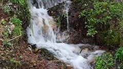 Вода из родника. Пить или не пить? Доброе утро. Фрагмент выпуска от 17.05.2016