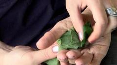 Зеленый пластырь от мозолей. Доброе утро. Фрагмент выпуска от 25.07.2016