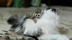 Мама Росинка и ее приемный сын Федор. Доброе утро. Фрагмент выпуска от 05.09.2016