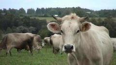 Куда делись колхозы и совхозы? Доброе утро. Фрагмент выпуска от 21.09.2016 