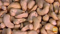 Орехи кешью. Доброе утро. Фрагмент выпуска от 06.12.2016