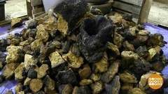 Чага — русский суперфуд! Доброе утро. Фрагмент выпуска от 16.01.2017