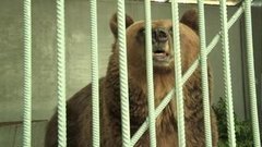 Животные. Маша ждет новоселья. Доброе утро. Фрагмент выпуска от 22.06.2015