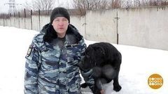 Собаки на пенсии. Доброе утро. Фрагмент выпуска от 28.02.2017