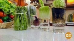 Как хранить зелень. Доброе утро. Фрагмент выпуска от 28.02.2017