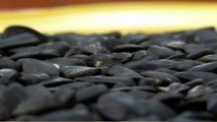 Жареные семечки подсолнечника. Контрольная закупка. Выпуск от 18.05.2015