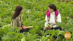 Кабачков хватит на всех. Доброе утро. Фрагмент выпуска от 13.07.2017