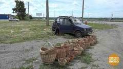 Корзинки до интернета доведут. Доброе утро. Фрагмент выпуска от 13.07.2017