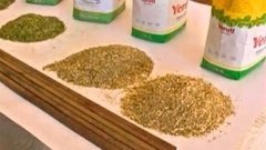 Наркотический чай. Доброе утро. Фрагмент выпуска от 20.03.2015