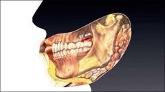 Зачем нужны рудименты. Доброе утро. Фрагмент выпуска от 13.03.2015