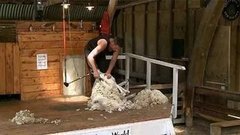 В мире. Овечий рекорд. Доброе утро. Фрагмент выпуска от 05.03.2015