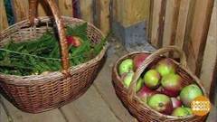 Яблок много не бывает. Доброе утро. Фрагмент выпуска от 05.10.2017