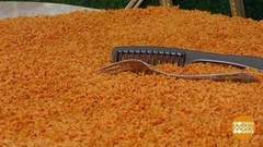 Распрямись, ковер! Доброе утро. Фрагмент выпуска от 14.11.2017