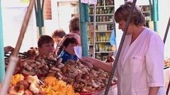 Сезон «грибных» отравлений. Доброе утро. Фрагмент выпуска от 07.09.2015