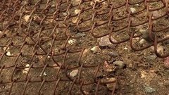 Режем сетку-рабицу. Доброе утро. Фрагмент выпуска от 24.08.2015