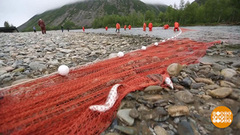 Путина идет! Доброе утро. Фрагмент выпуска от 16.07.2018